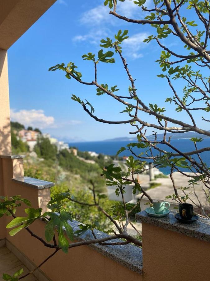 Panorama Apartment Jakov Omis Luaran gambar